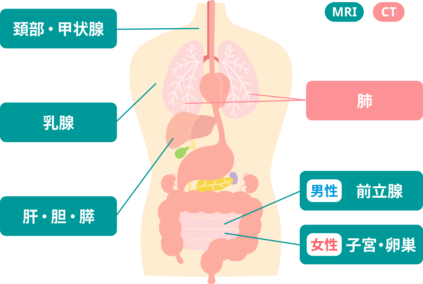 検査部位